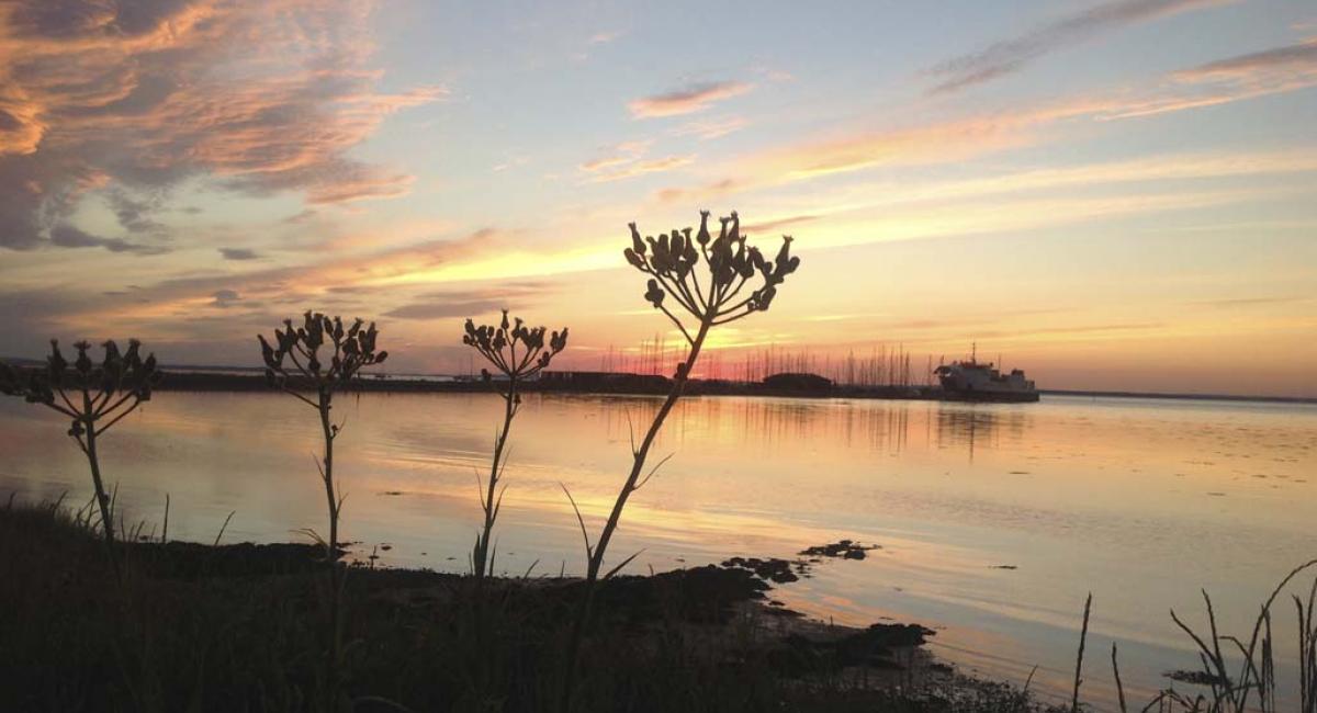 Endelave, øen i midten, ø-ferie, øer, Danmark, havn, solnedgang