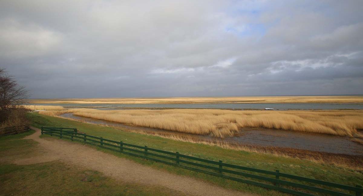 Fanø, marsk, Sønderho, øferie, Danmark