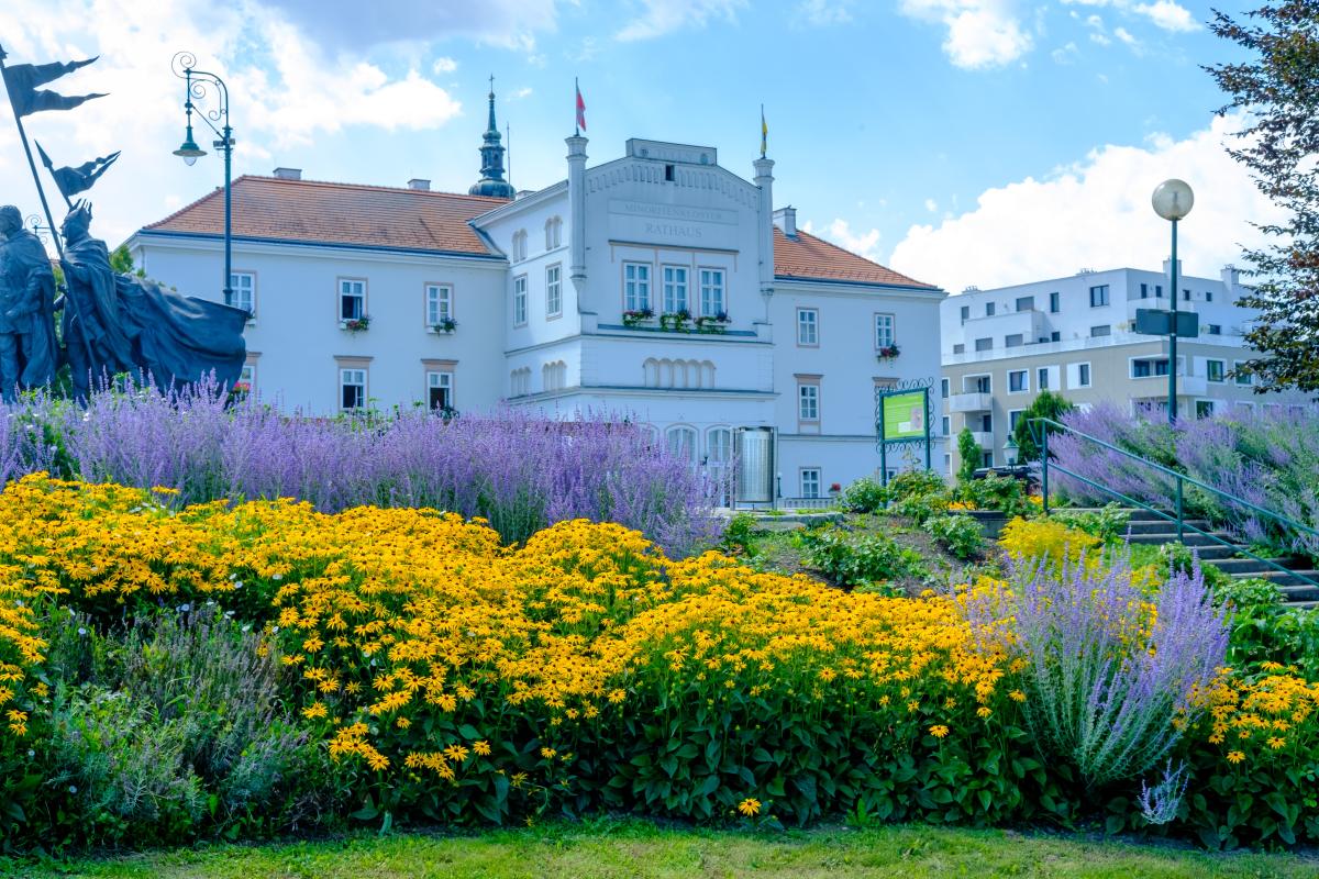 Rådhus i Tulln